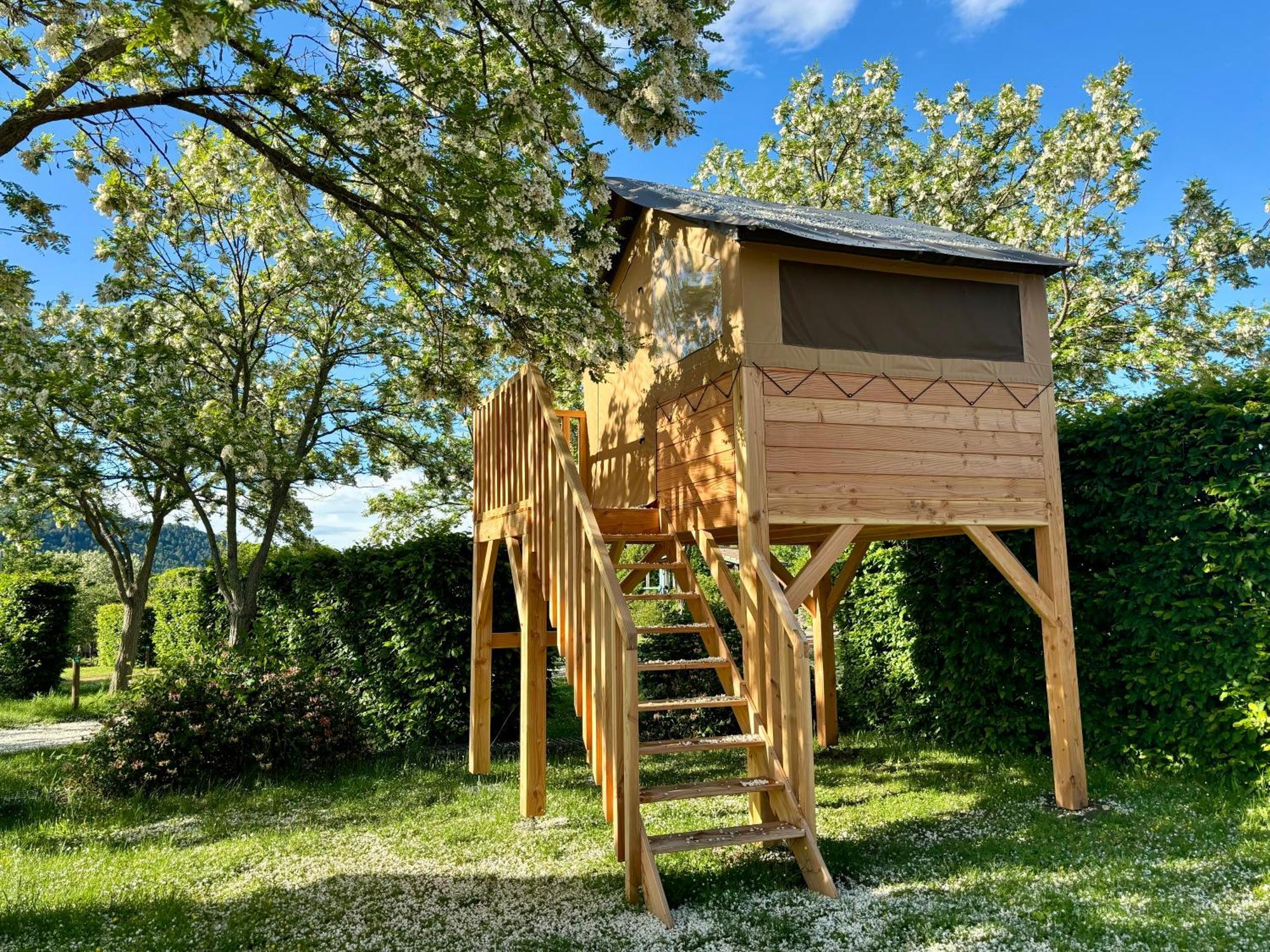 Camping Onlycamp L'Argente Condom Esterno foto